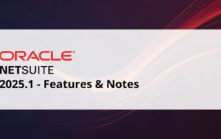 NetSuite 2025.1 Blog