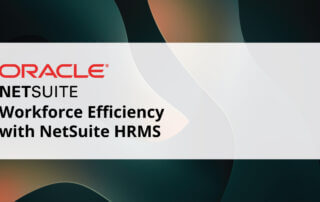 NetSuite HRMS Blog